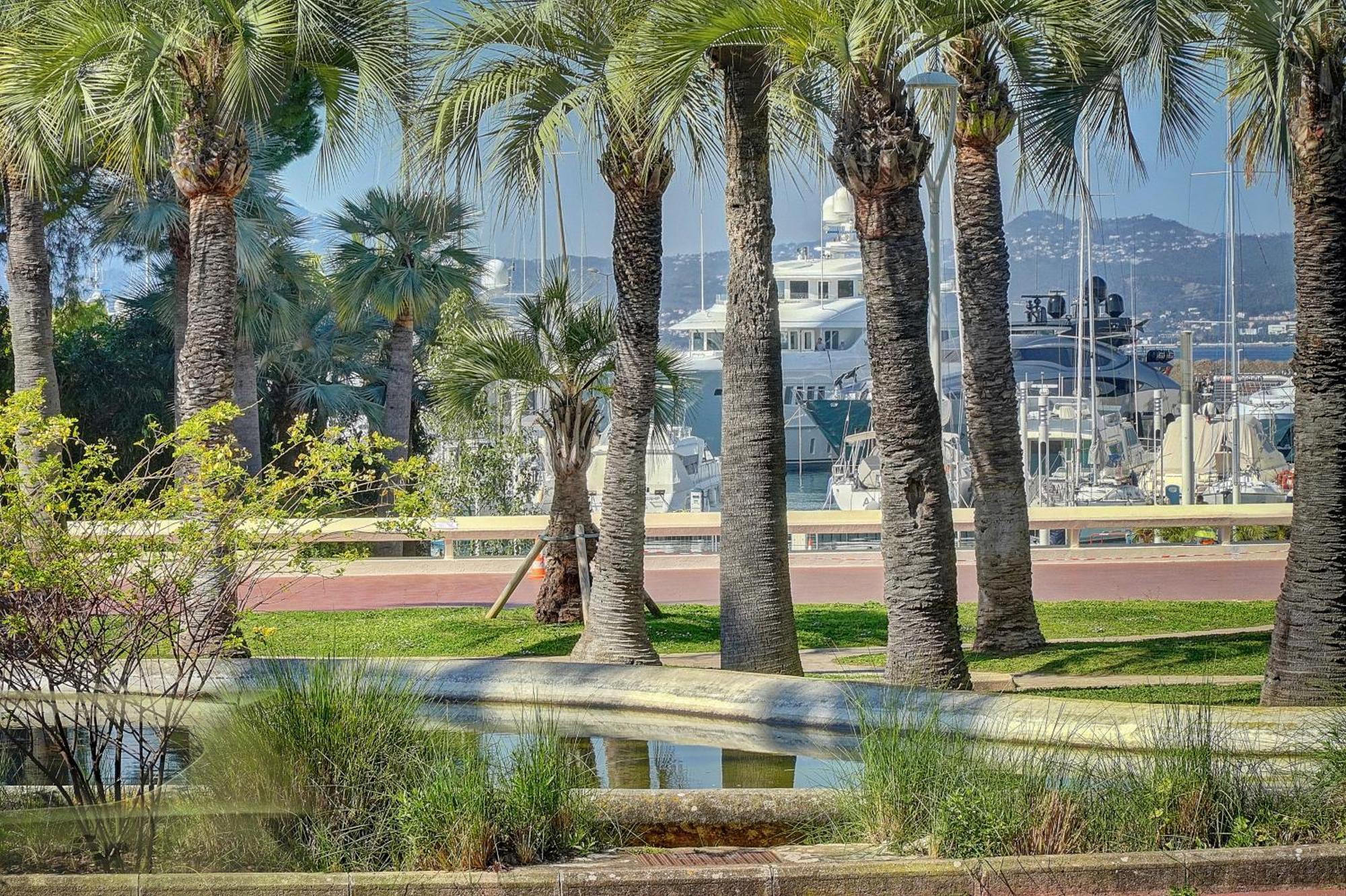 Le Palm - 100M Plage - Croisette - Verriere Cote D'Azur Cannes Eksteriør bilde