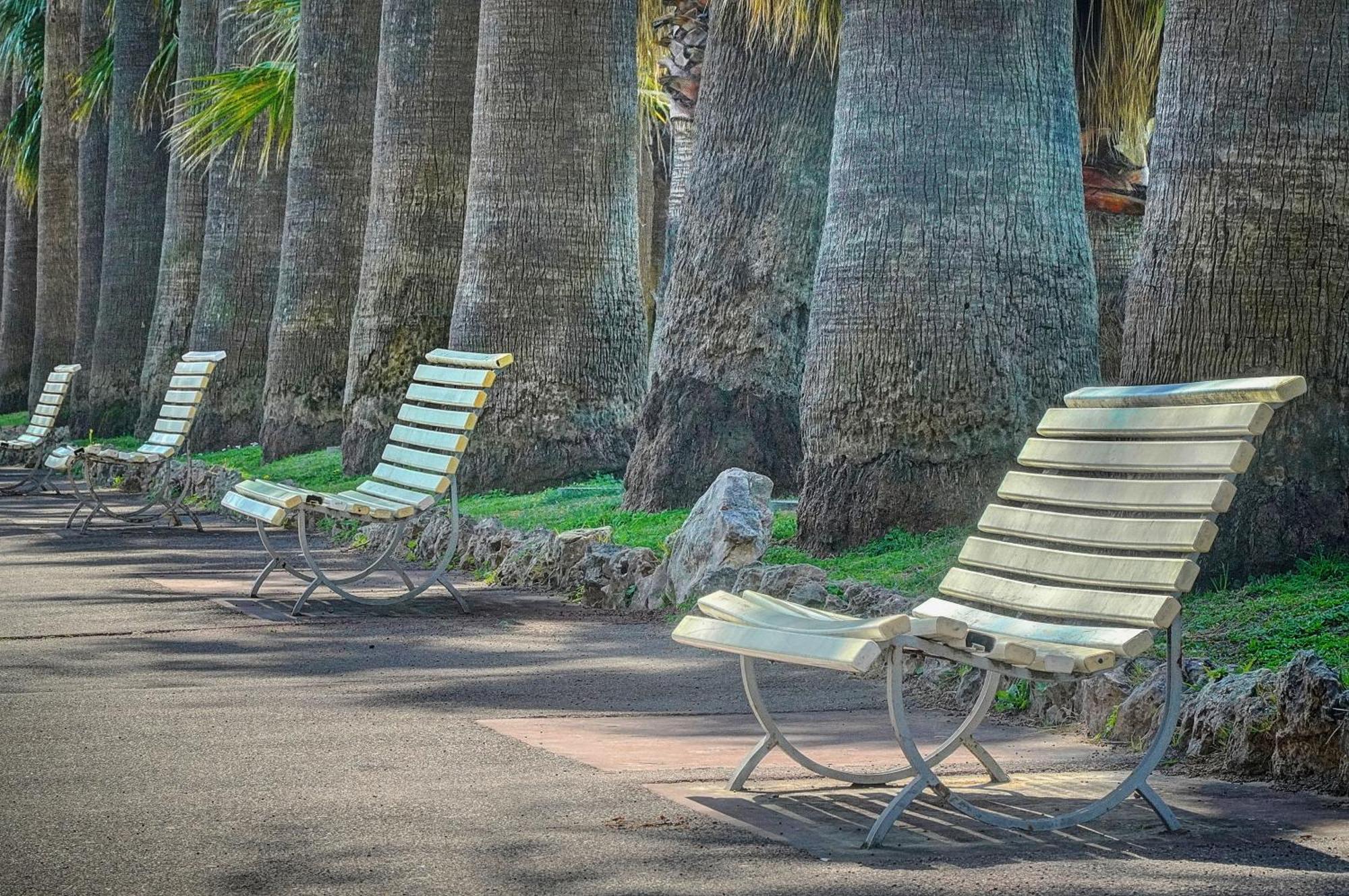 Le Palm - 100M Plage - Croisette - Verriere Cote D'Azur Cannes Eksteriør bilde
