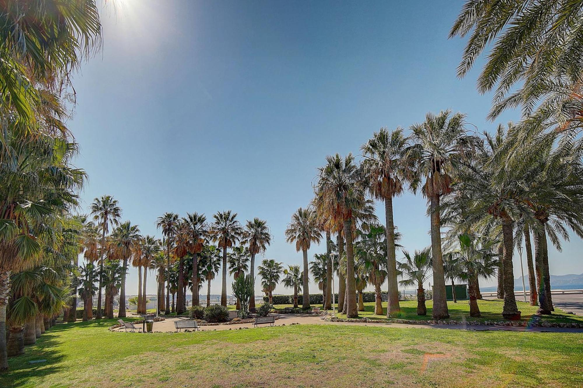 Le Palm - 100M Plage - Croisette - Verriere Cote D'Azur Cannes Eksteriør bilde