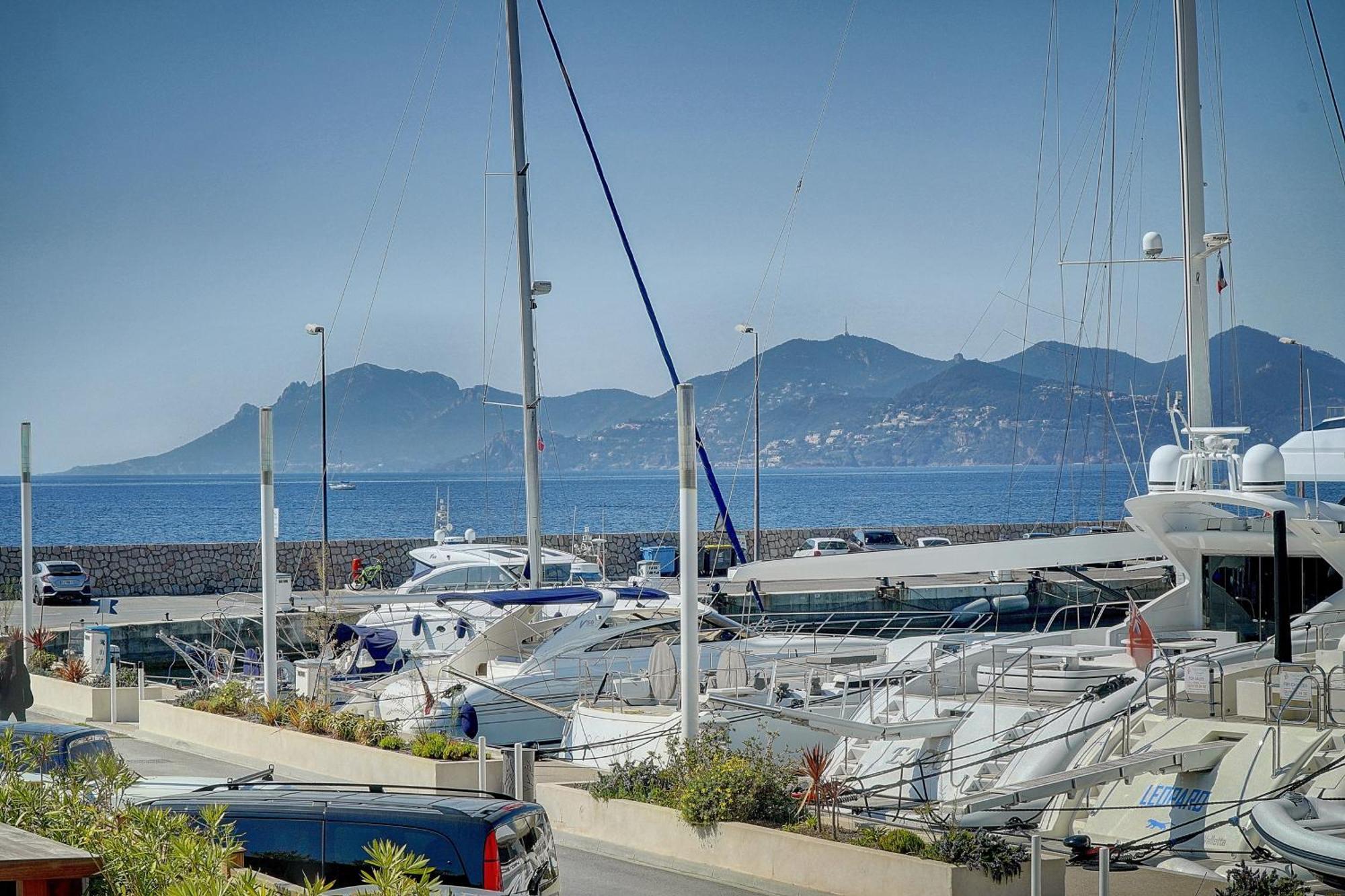 Le Palm - 100M Plage - Croisette - Verriere Cote D'Azur Cannes Eksteriør bilde